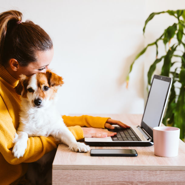 Girl with a dog using a laptop